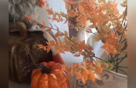 Całoroczne -"Domki na zielonej łące" - Foto 23