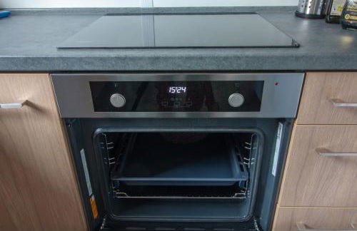 Iguana - Das Tiny Haus am Reptilienzoo Reptilium - Foto 39