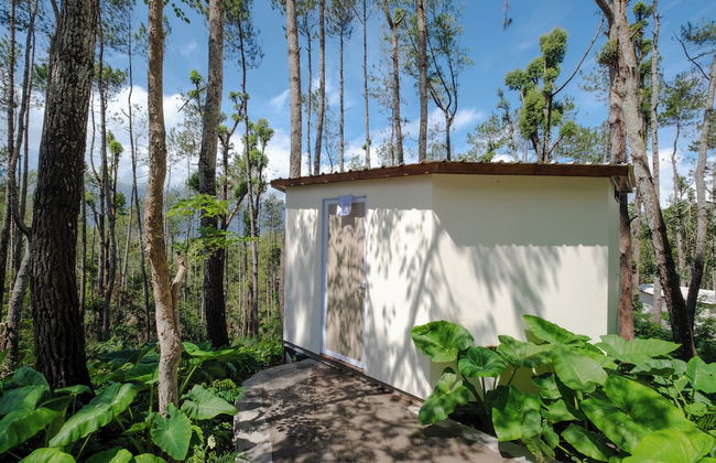 La Pino Mount Batur and Hot Spring - Foto 32