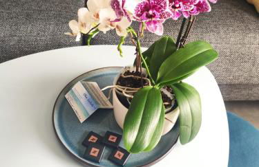 Domaine de La Coudouliere, Vue Mer, Plage, Piscine et Parc - Foto 16