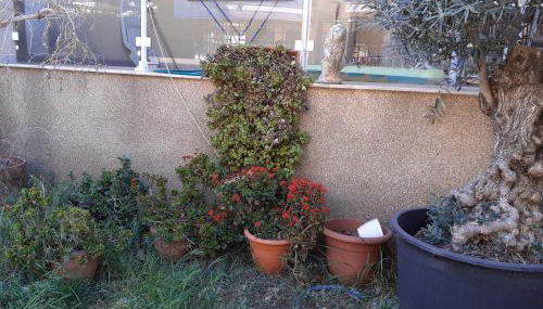 Amanecer marino, solo a 5 minutos andando de la playa - Foto 5