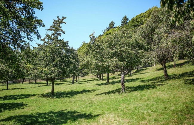 Holiday Home in Forest With Private Pool - Foto 29