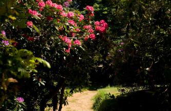 Domaine de Keravel - Foto 56