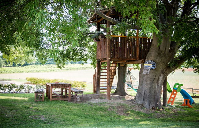 Agriturismo Bosco del Gal - Photo 26