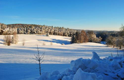 Ferienwohnung Familie Kappauf & Petrik - Foto 42