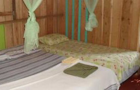 Pousada de selva Janauatour - Foto 5