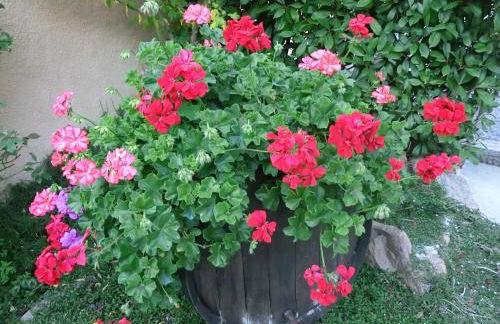 Apartamento en pleno Montseny Mas Romeu Turisme Rural - Foto 36