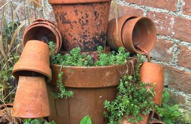 Old Cart Shed in Lyneham - Foto 36