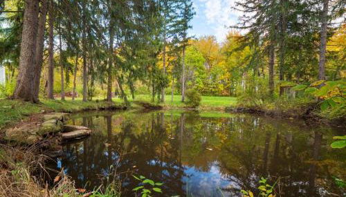 Willow Woods Retreat - Farmhouse - Patio & Nature - Foto 2