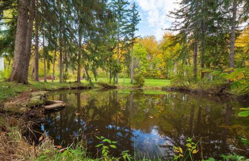 Willow Woods Retreat - Farmhouse - Patio & Nature - Foto 2