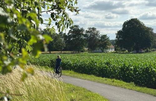 Country House Sensby - Schlei retreat with fireplace & garden - Photo 17