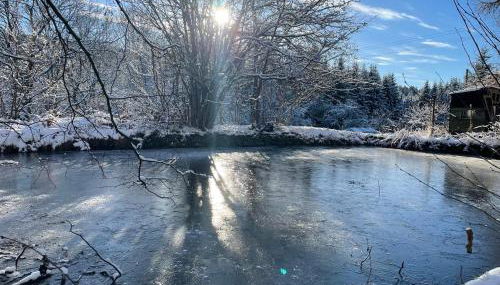 Fuchs & Has` - Photo 5