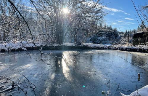 Fuchs & Has` - Foto 5