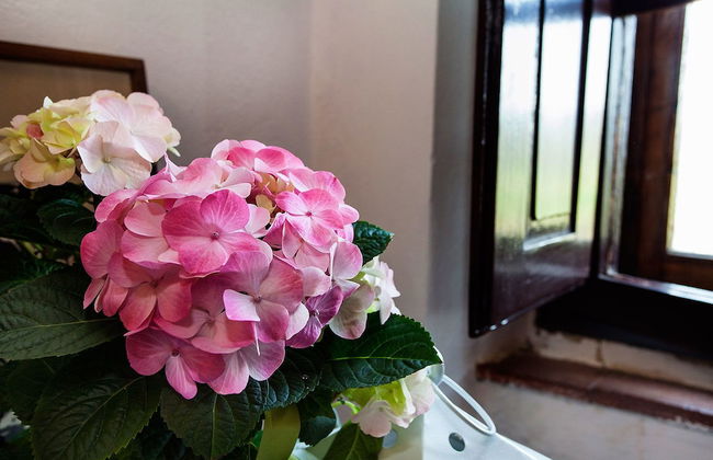 Podere Terreno alla Via della Volpaia - Foto 26