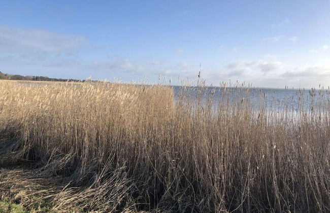 Katis Nest Comfortable Holiday Residence - Photo 26