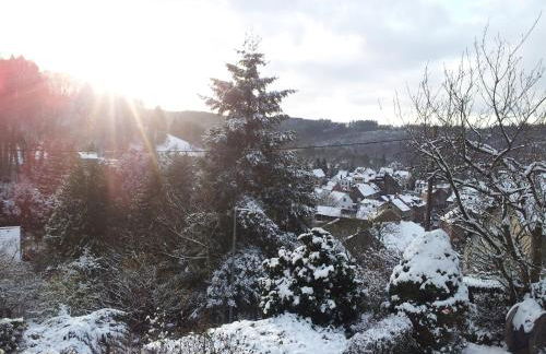 Fewo Waldblick Zweifall - Foto 49