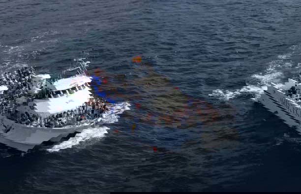 Whale & Dolphin Sighting Tour - Photo 6