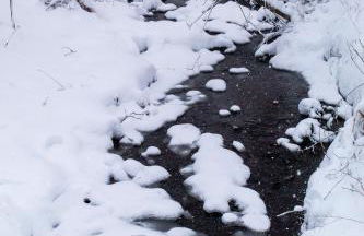 Near Marist/Vassar/Culinary Inst./Historic Sites! - Foto 27