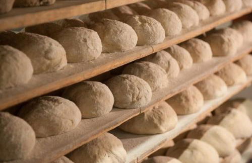 Ramsteinerhof - Foto 8