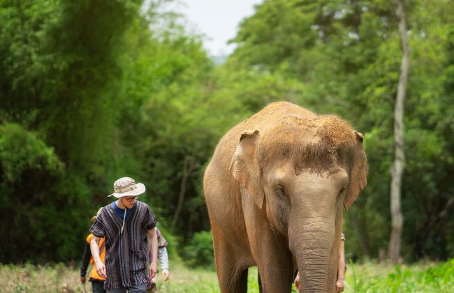 Excursión al santuario de elefantes - Foto 1