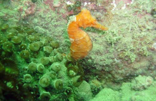 Residencial Neide Maria - Foto 34