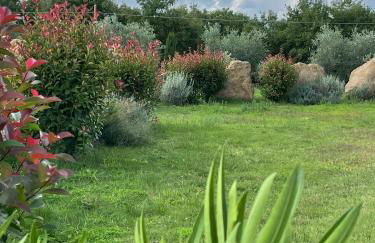 Maremma Country Chic (il Gelsomino) - Foto 9