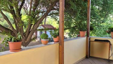 Martha's Villa - Photo 5