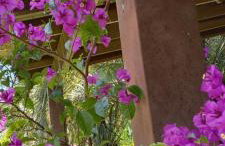 Loft na Rondinha - Foto 1