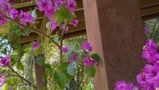 Loft na Rondinha - Foto 1