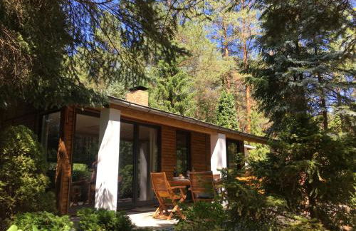 Bungalow im Wald - Foto 1