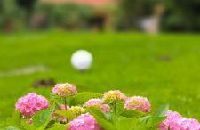 Holiday Home Forest INN - Foto 36