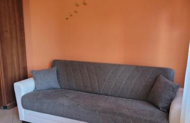 ButterflyHouse - Foto 11