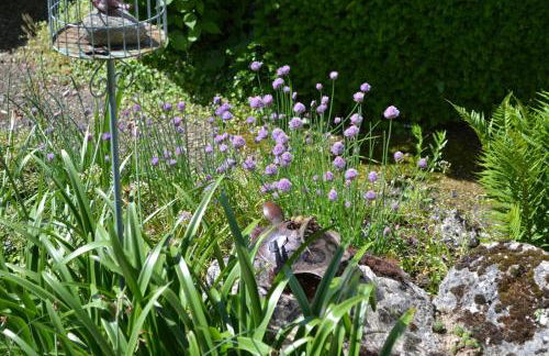 Gîte de charme proche du Zoo Beauval et Châteaux - Photo 66