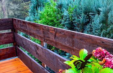 LIETHE 13 - Ferienhaus am Malerweg - Foto 40