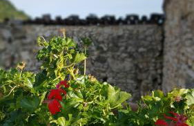 La casetta di Chiara - Photo 12