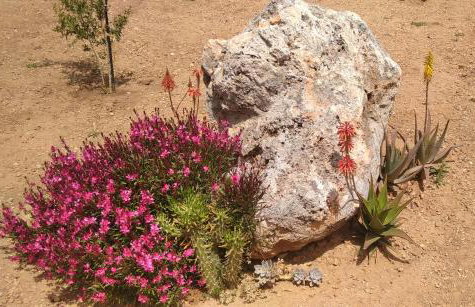 Roussa's House - Foto 50