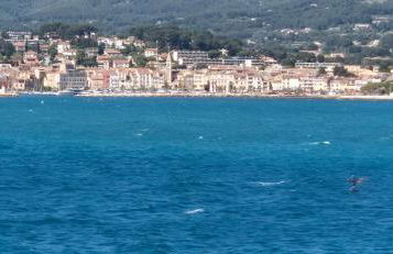 Studio avec rez de jardin - Foto 37