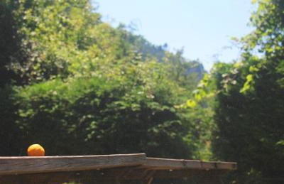 Gerês - Aldeia Turística de Louredo - Foto 55