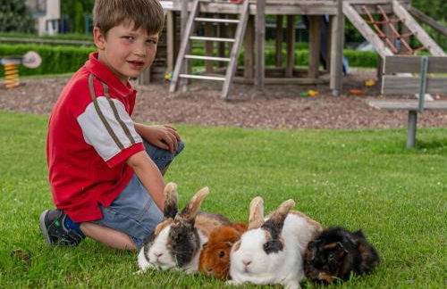 Obst- und Ferienhof Gomeringer - Foto 17