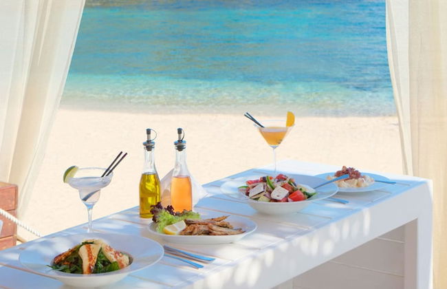 White Orchid Vanda in Vola - Photo 19