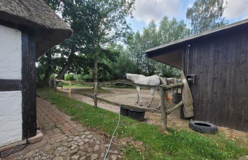 Ferienhof Schwalbennest OFC 24 - Foto 48