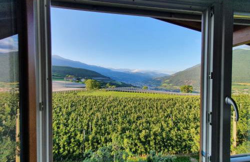 WEINBERG APARTMENTS with Brixen Südtirol Card - Photo 4