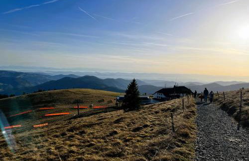 Ferienwohnung Traumwerk Titisee - Foto 27