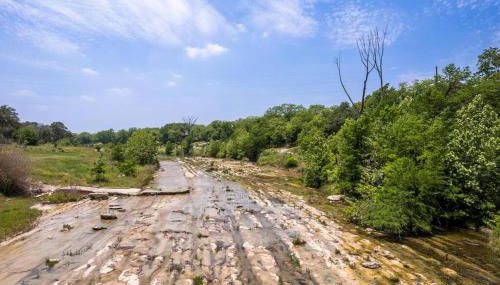 NEW! Ladybug @ Firefly Grove w/ Blanco River Access - Foto 2