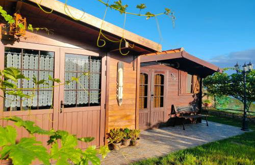 Finca Los Viñedos Verdes - Foto 11