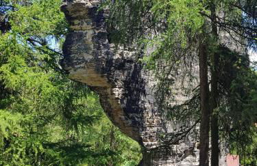 Auf-der-Muehlwiese - Foto 49