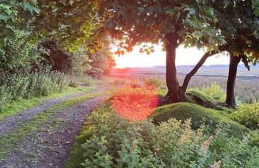 Rhossili Bay Secret - Cabin - Landimore - Foto 88