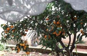 Blue Harbour No. 15 - Foto 18