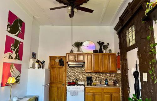 Unique Brooklyn Brownstone Studio Bedstuy - Foto 25