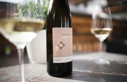 Christophorus Mountain Residence - Photo 19